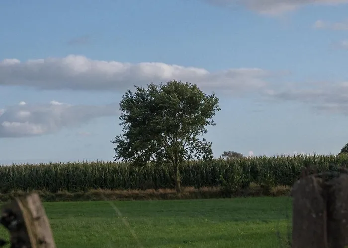 Tatil Evi Holi Huus B *