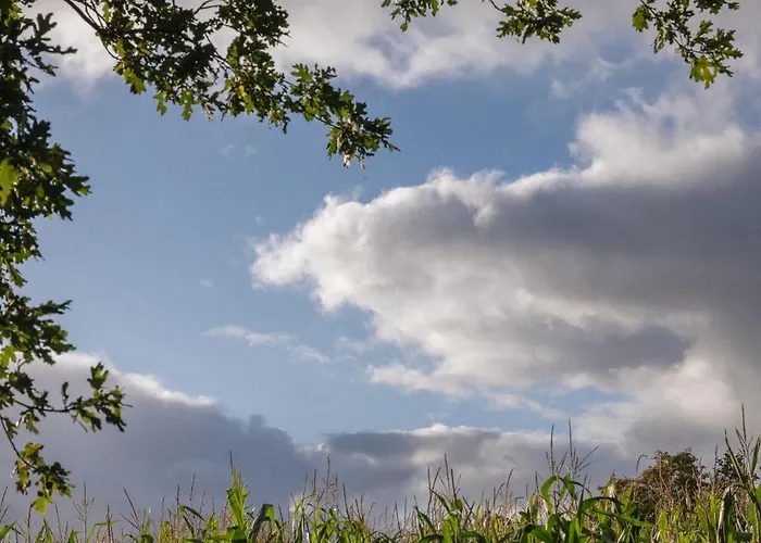 Holi Huus B Tatil Evi